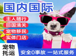 襄阳刘集空运国际宠物托运 【国